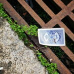 sewer - The Pump People (A & C Pumps Limited), CT3 3HS
