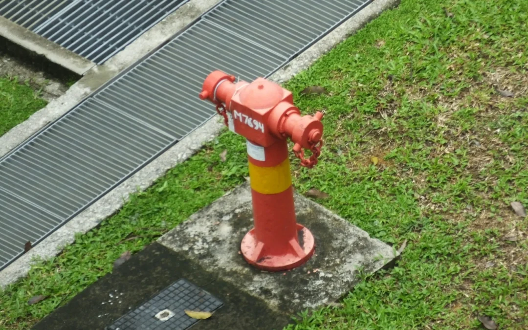 Sewage Pumping Service